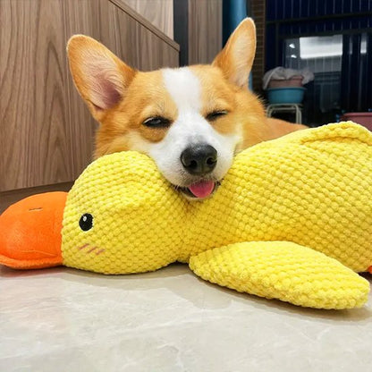 corgi couché sur jouet peluche pour chien 