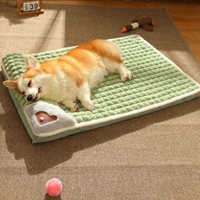 corgi dort sur Lit pour chien