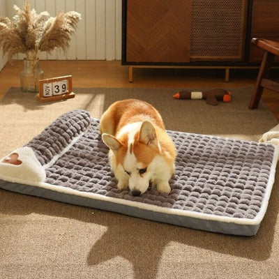 corgi dort sur Lit pour chien