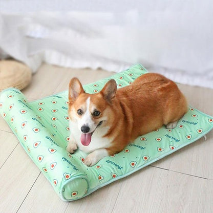corgi etendu sur Tapis rafraichissant chien vert