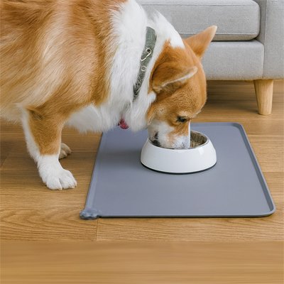 corgi mange sur de Tapis gamelle Chien gris
