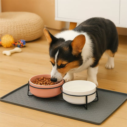 corgi mange sur Tapis pour gamelle Chien gris