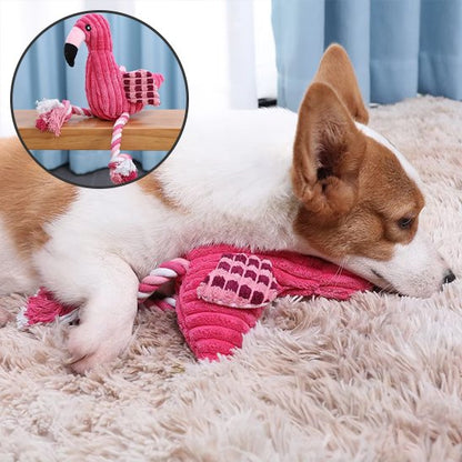corgie couché sur Peluche pour chien
