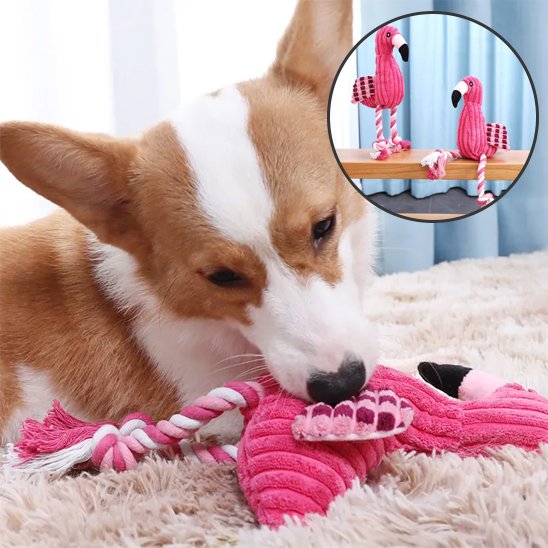 corgie en trian de mâcher Peluche pour chien