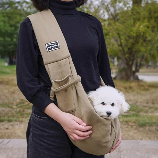dame porte caniche dans Sac chien dans parc