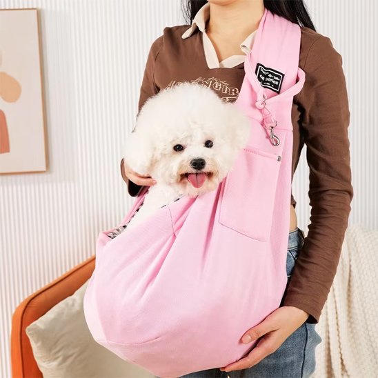 dame porte caniche dans Sac chien rose dans parc