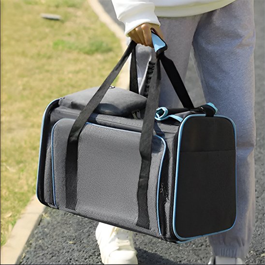 dame porte Sac transport pour chien à la main