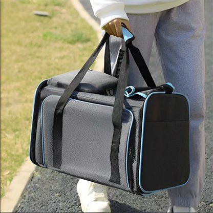 dame porte Sac transport pour chien à la main