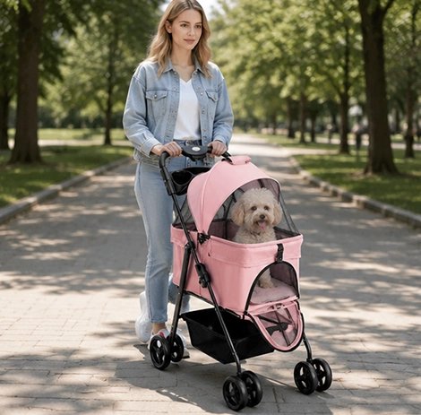 dame poussant caniche blanc dans Poussette pour Chien rose