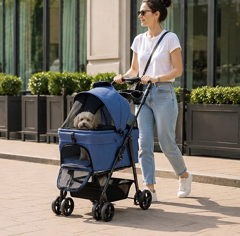 dame poussant caniche blanc dans Poussette pour Chien bleu dans rue