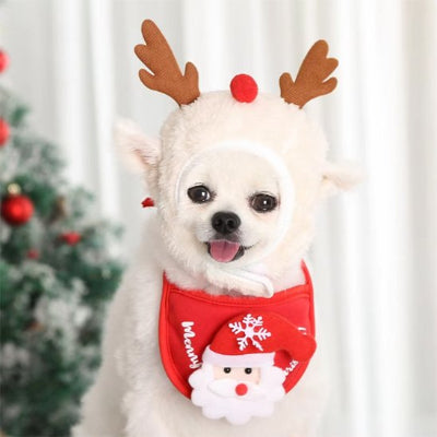 poméranien portant déguisement chien noël assis près de sapin de noël