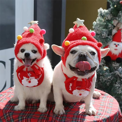 chiens portant déguisement chien noël assis sur table près de sapin de noël