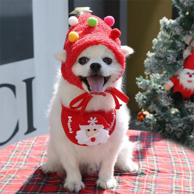 poméranien portant déguisement chien noël assis sur table près de sapin de noël