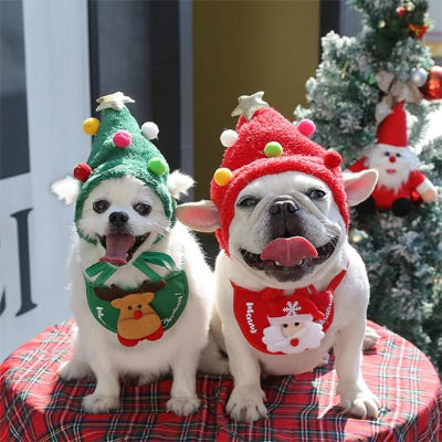 chiens portant déguisement chien noël assis sur table près de sapin de noël