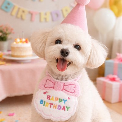 caniche blanc portant Déguisement Chien rose est assis près du gâteau