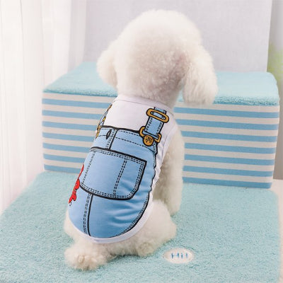 caniche blanc portant déguisement chien salopup est assis sur moquette bleue
