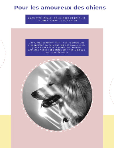 Ebook  L'assiette idéale pour votre chien