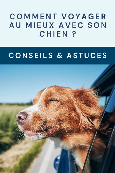 ebook comment voyager au mieux avec son chien