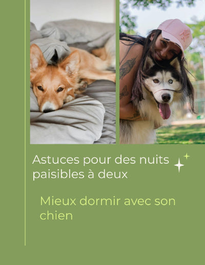 Ebook Mieux dormir avec son chien