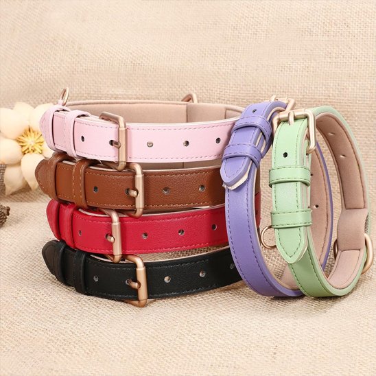ensemble de collier chien