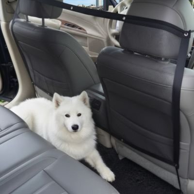 Filet pour chien pour voiture 