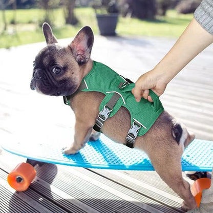 french bouledogue portant Harnais pour chien vert monte sur une planche roulette