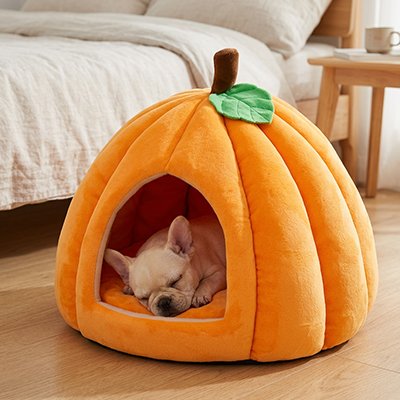 frenchie dort dans Panier pour Chien 