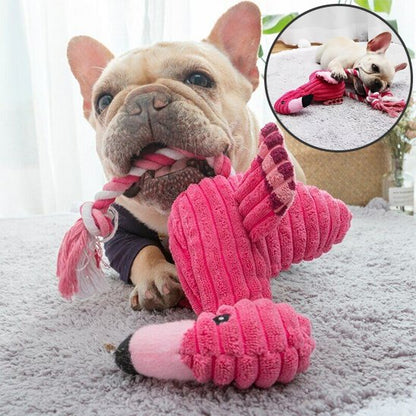 frenchie joue avec Peluche pour chien sur moquette