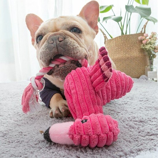 frenchie mâchouille Peluche pour chien