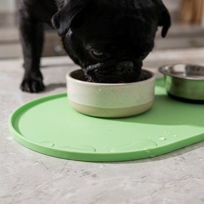 frenchie noir mange sur Tapis gamelle 