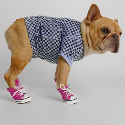 frenchie portant Chaussure Chien rose porte chemise carrelée