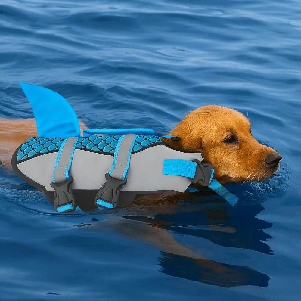 golden retriever portant gilet de sauvetage chien enage dans piscine