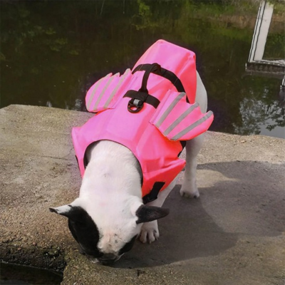 Gilet de sauvetage chien | WingPup