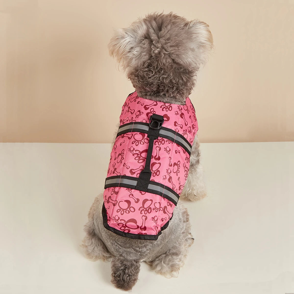 chien gris porte gilet de sauvetage chien rose sur canape blanc
