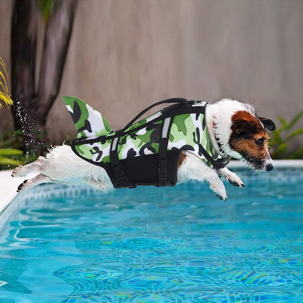 jack russell portant gilet de sauvetage chien vert en train de sauter dans piscine