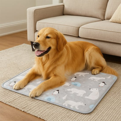 golden retriever assis sur Tapis rafraichissant pour chien sur moquette beige