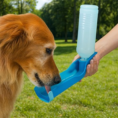 golden retriever boit dans Gourde pour Chien