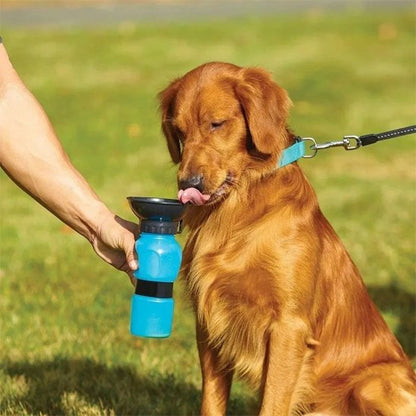 golden retriever boit dans Gourde pour chien​