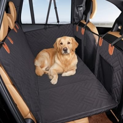 golden retriever couché en rond sur banquette arrière couverte de Protection voiture chien​ noire