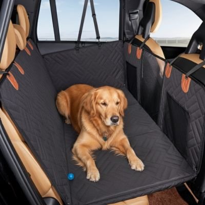 golden retriever couché sur banquette arrière couverte de Protection voiture chien​ noire