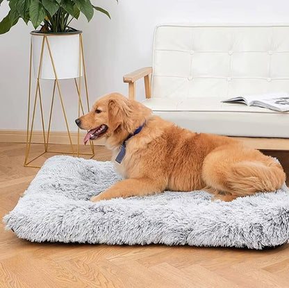 golden retriever couche sur Tapis pour chien