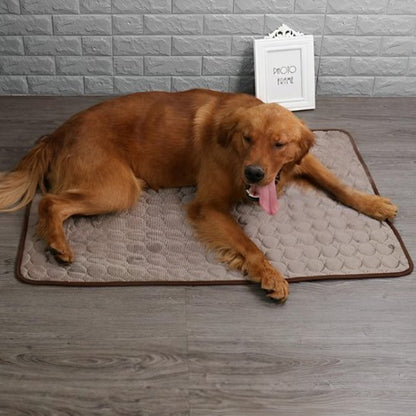 golden retriever couche sur Tapis rafraichissant chien café posé sur sol gris