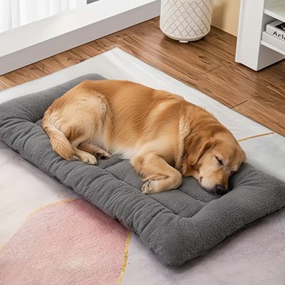 golden retriever couche Tapis pour chien