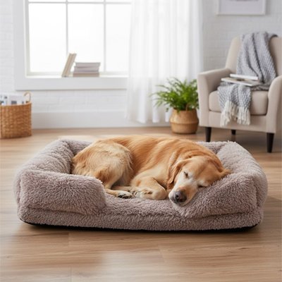 golden retriever dort dans Panier Chien sur plancher