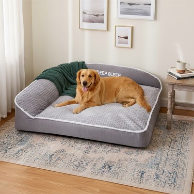 golden retriever dort dans Panier pour Chien sur moquette grise