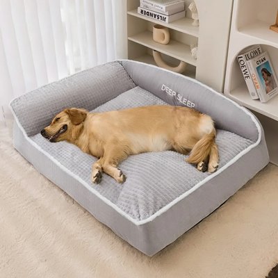 golden retriever dort dans Panier pour Chien sur moquette blanche