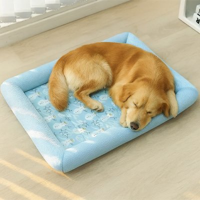 golden retriever dort sur Tapis pour Chien rafraichissant