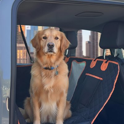 golden retriever est assis sur Protection chien voiture sur banquette arrière