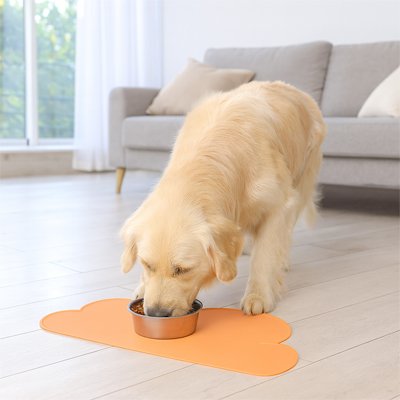 golden retriever mange croquettes sur Tapis gamelle Chien orange