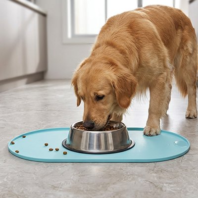 golden retriever mange sur Tapis gamelle bleu
